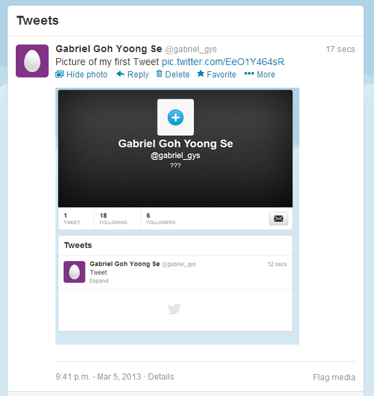 gabriel_gys's tweet photo. Picture of my first Tweet Pic http://t.co/JIwlFtnuHu