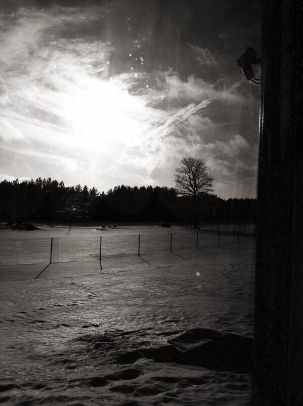 stendantsenko tweet picture