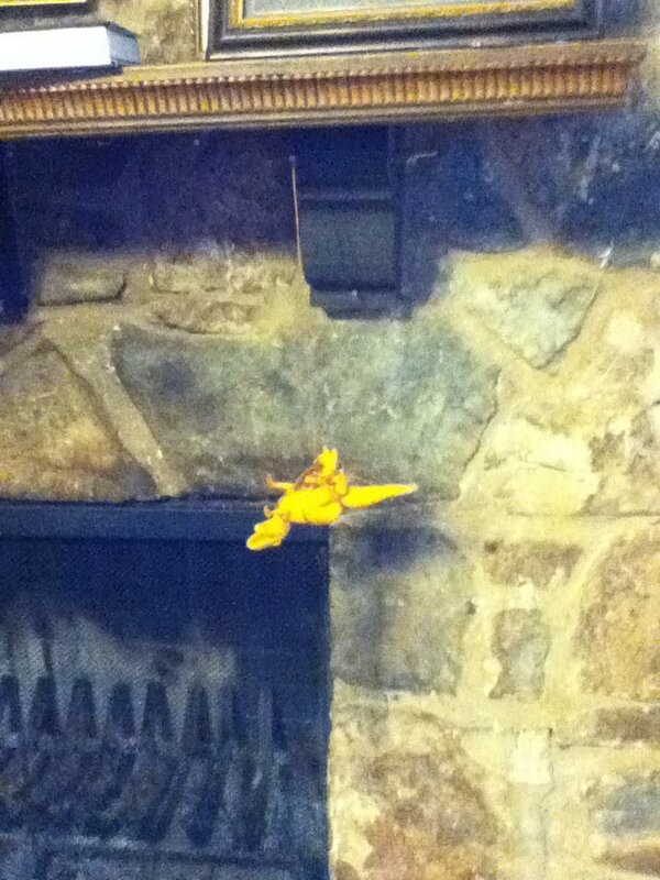 BrookeAnnTerry's tweet photo. ...and his dinosaur... http://t.co/oJMpURBS60