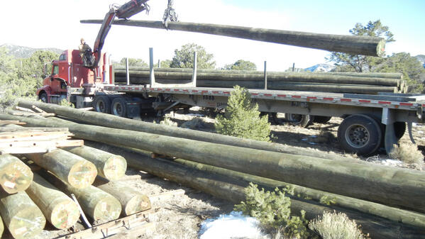 Arrival of truckload of poles for #adventurepark.  Hardest part ahead, setting them in canyon 200 ft below.