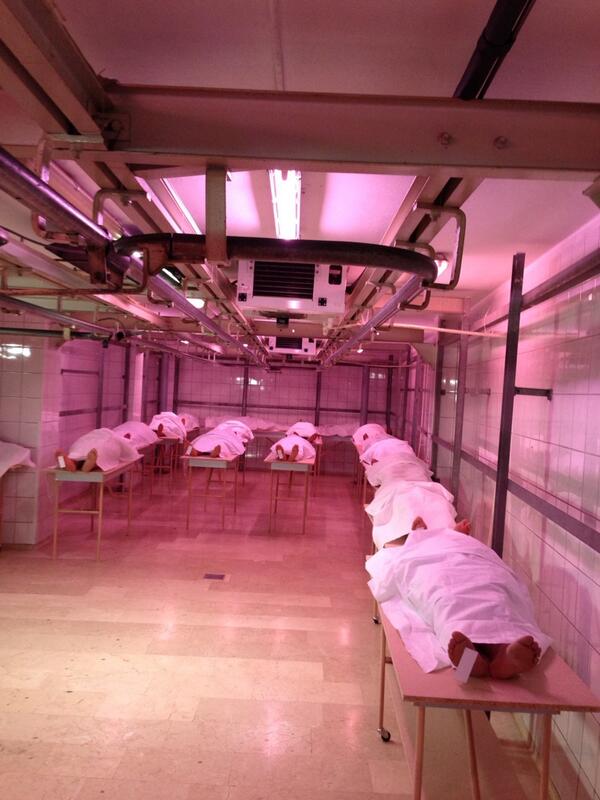 Sultan Süleyman'a bile kalmadı bu dünya, Ayak Parmağına takacaklar  ismini bitecek.İnsan olabilmek ümidiyle...