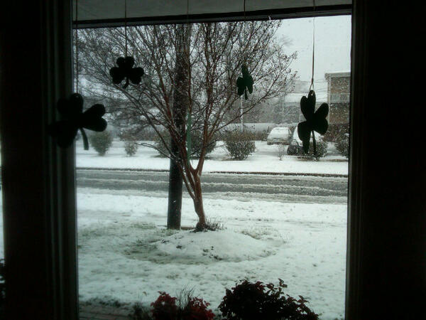 theLerdWord's tweet image. Its a wintery day here at North Ave Library! #winterwonderland #quietlibrary