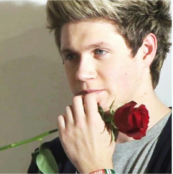 hidaya1998's tweet photo. I want to be this folwer !!:**xx http://t.co/dAgf30uXJK