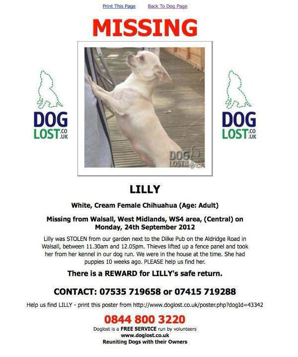 PawsForAll's tweet image. Help find Lilly facebook.com/HelpUsFindLilly  Missing since september 2012. Stolen. @HelpFindLilly