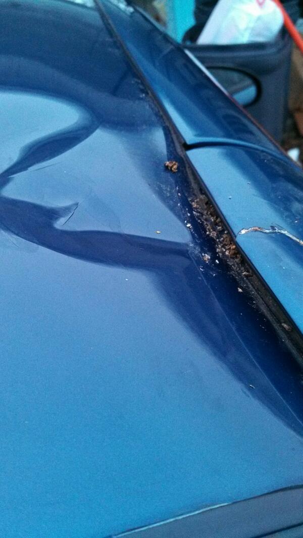 Amber (@walkerbait1982) on Twitter photo 