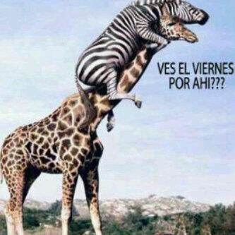 Deivis alejandro (@d_alejandro2) on Twitter photo 