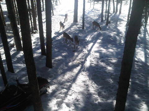 EricDitto's tweet image. Lake &amp;gt; city  #enoughsaid