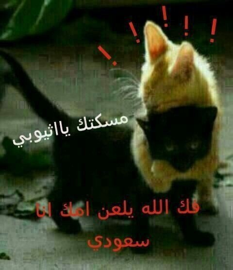 BEtY79HCQAAETAJ.jpg:large