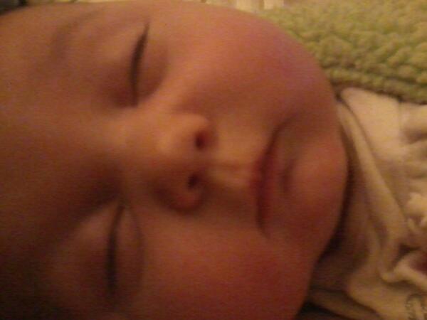 amberw511's tweet photo. My newest baby Bella http://t.co/etZp3C3IWS
