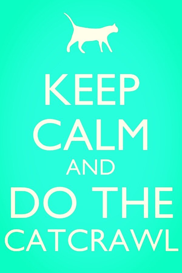 _TeamTMaher_'s tweet photo. 😊😏😏 #catcrawl http://t.co/MENYLqTzPj