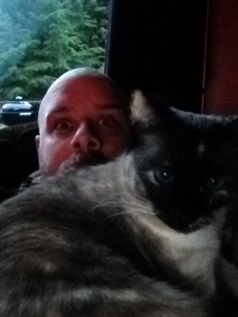 colboysdad's tweet image. I think Sabian is photobombing. #crackcat #siameseknucklehead
