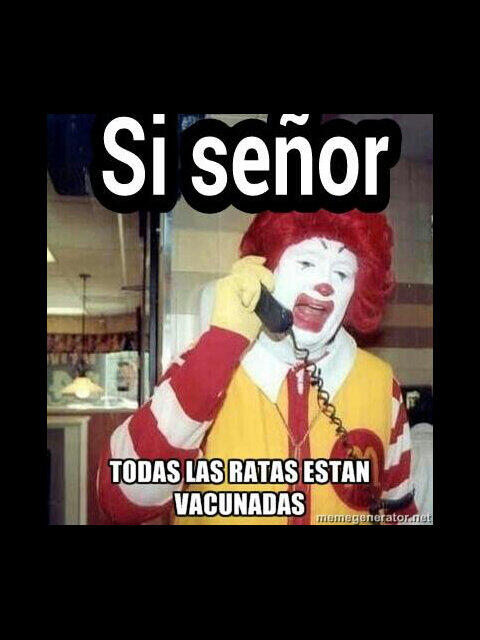 avillaoficial's tweet photo. A esto le llamo higiene y calidad "todas las ratas estan vacunadas" #MasAlláDeLaCocina http://t.co/EubWh1SePU