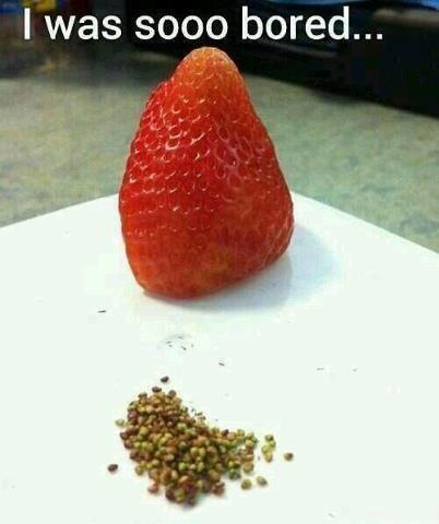 ratedr_albrow's tweet image. Got a little bored. #killstime