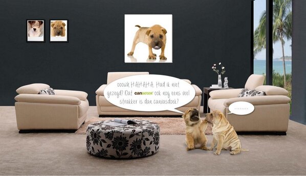 Canbeter's tweet image. Je foto's zien er net wat strakker uit!
