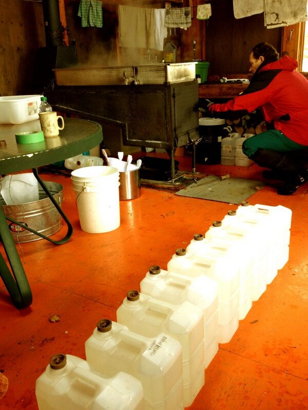 CranberryScram's tweet photo. 90 liters collected this morning! http://t.co/PGZg6EfLsh