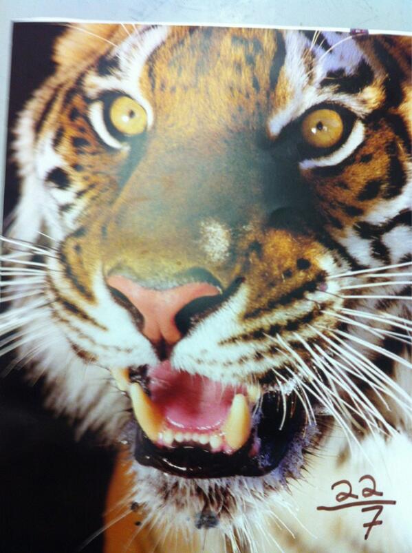 MiddlefieldCPS's tweet image. Look VERY carefully at this one!