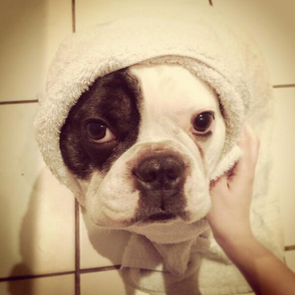 wiggl3butt's tweet image. ah am beein ET. remi fone home. LOLZ