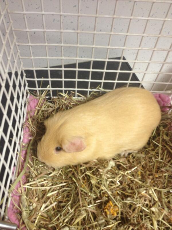 Natalie Jayne Lawlor tweet media