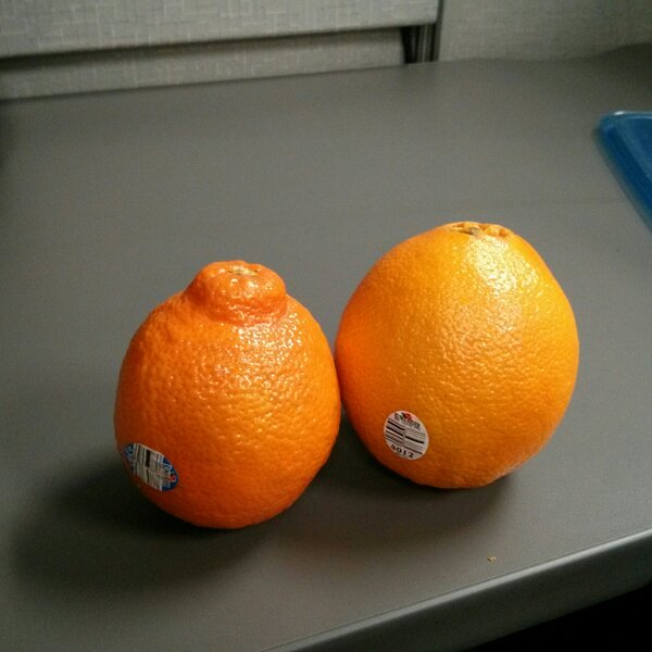 BeefCaptain's tweet photo. Don't forget to jam some citrus in your cakeflap, it prevents scurvy. #tips #won'tpreventaidstho #foryourhealth http://t.co/k2dmli81Xv