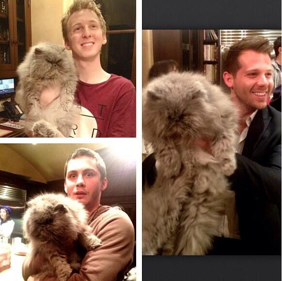 OMLerman's tweet image. Começar com a familia Collins e o Logan assistindo aos Oscars (o que tenho certeza que 99% de vocês já viu)