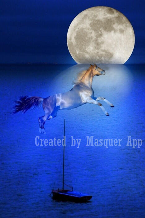 MasquerApp's tweet image. Here you are, my white horse! masquerapp.com/?twitter