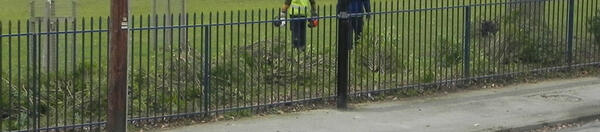 HullRoadPark's tweet photo. 3.27pm 22/03/2013 #HullRoadPark hedgerow gone... This has been #Springwatch live #CityofYorkCouncil style..! http://t.co/9HI08liSWa