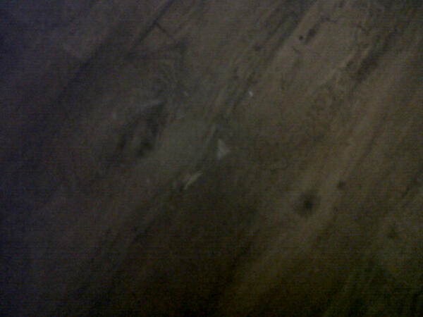 MonsterMini_'s tweet image. 