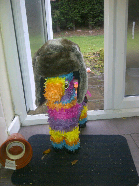 Buro Piñata tweet media