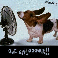 yolany's tweet photo. http://t.co/tpMERTFr7k
