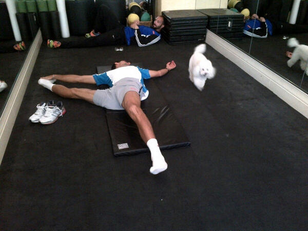 Novak Djokovic tweet media