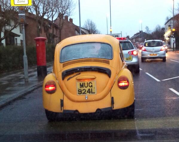 Amy Atkinson (@amyatkinson321) on Twitter photo 