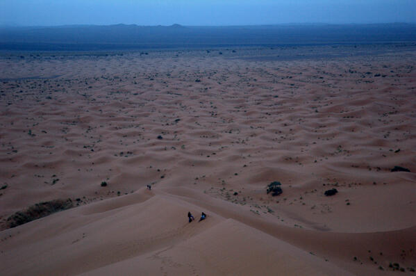 Circuit desert
facestours.com