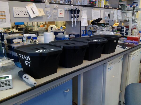 You know its a big experiment when you're using FOUR ice buckets #phdstudentsfinalexpt