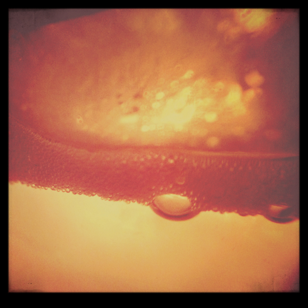 camera_fx's tweet photo. It's always interesting to see macro photos :) http://t.co/8gM6k7k7oO