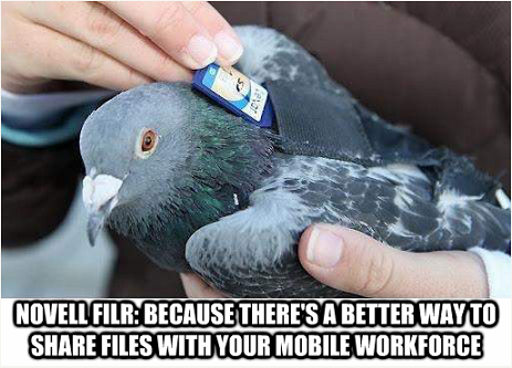 simon_flood's tweet image. RT @Novell: #Novell #Filr: Because there is a better way to share files with your #mobile workforce