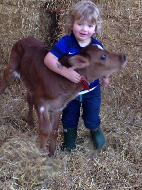 Kelly Roberts tweet media