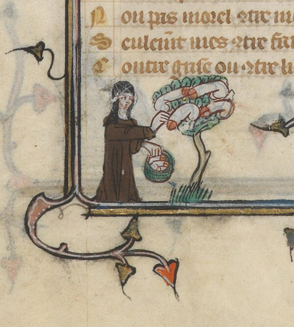 xefer's tweet image. Bas-de-page image was drawn by a professional but illiterate woman, Jean de Montbaston. xefer.com/2013/03/phallu…