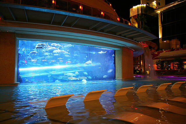 golden nugget indoor pool