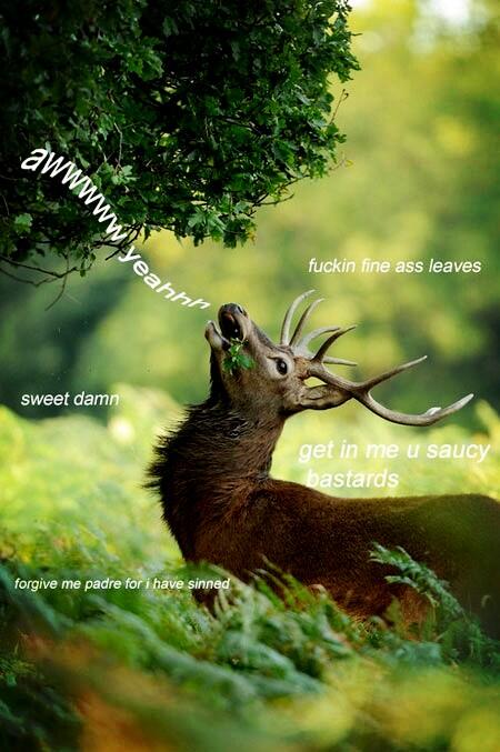 JadeHalleyB's tweet photo. Also, this. http://t.co/zSQmtZGSLy