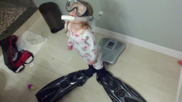 dan_laux's tweet photo. @HBBahamas hey, that's my scuba gear! http://t.co/z7R271OrVq