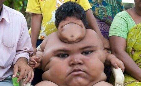 FaceFlips's tweet image. There are not words...