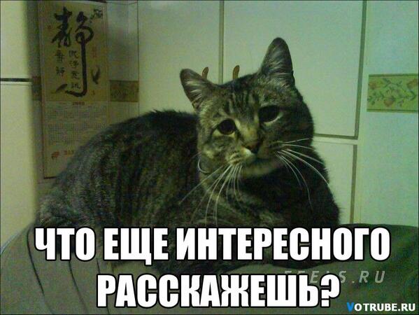 За спиной расскажут интереснее. Составить интересный рассказ. Картины по номерам мемы. Расскажи самую интересную. Интересные факты для дошкольников.