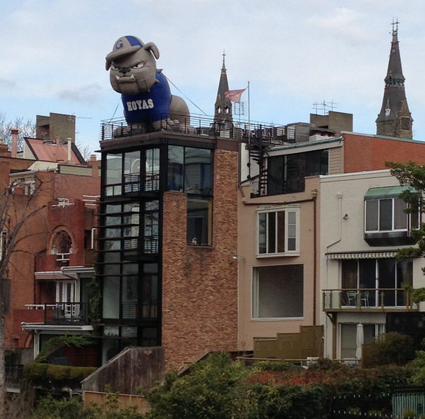 ahubbs32's tweet photo. Get em, Jack! #HoyaSaxa 

http://t.co/t8AWqCpr5U