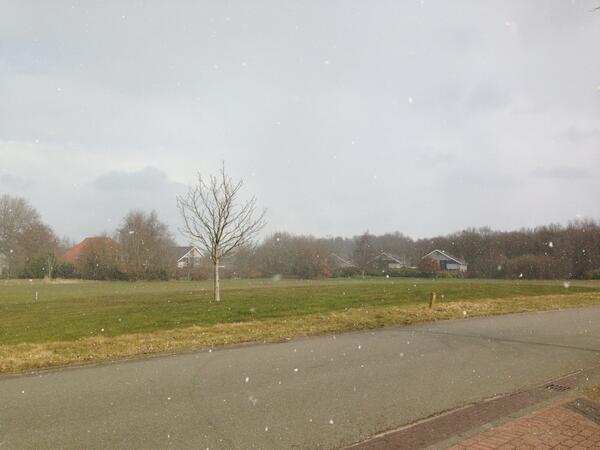 Golfclub Heidemeer tweet media