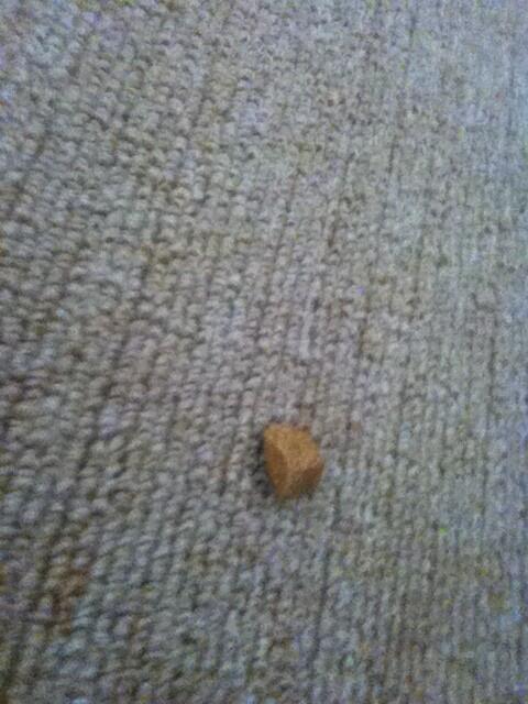 ℓσvε gσηdεy ❥  tweet media