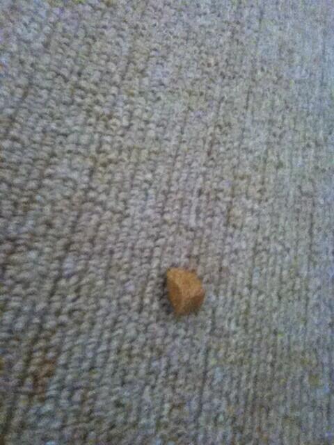 ℓσvε gσηdεy ❥  tweet media