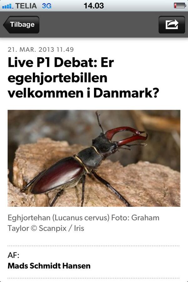Jourlarsen's tweet photo. Der er bare de dage, hvor P1 overgår sig selv http://t.co/W5DwvsD6JS