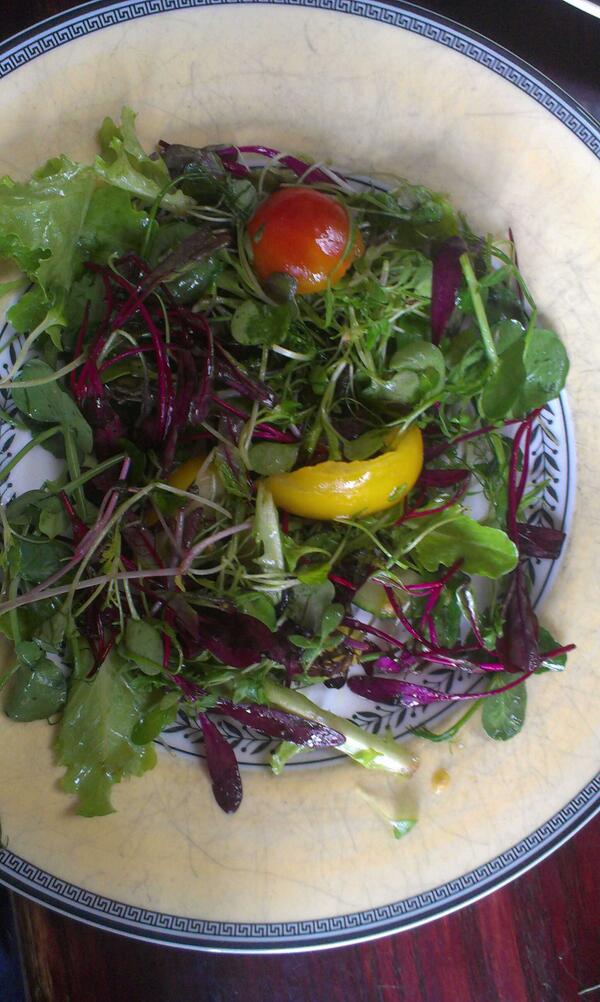 Spring into spring seedling salad #rawfood #vegan