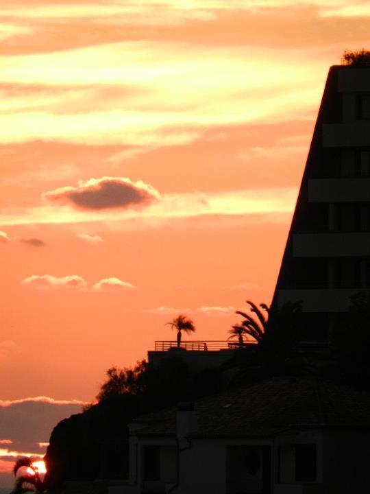 Ana Perdiguero tweet media