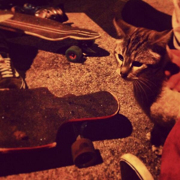 flashmeup's tweet image. Longboarding